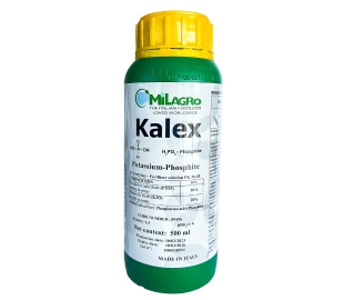 Phân bón lá KALEX