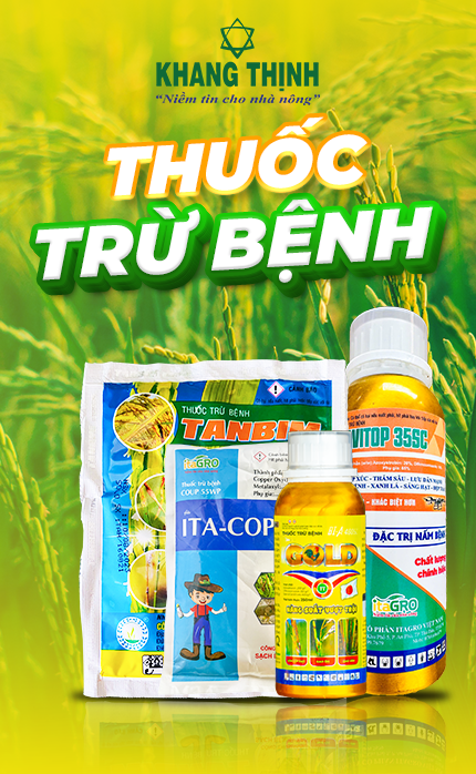 THUỐC TRỪ BỆNH